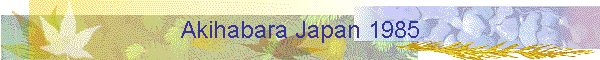 Akihabara Japan 1985