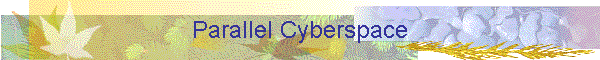 Parallel Cyberspace