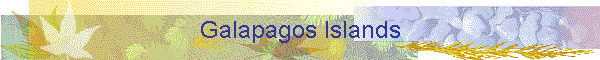 Galapagos Islands