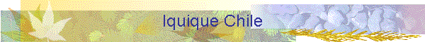Iquique Chile