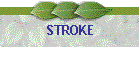 STROKE